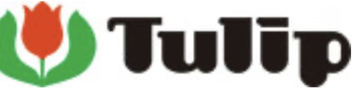 Tulip – História